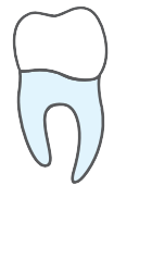 Tooth 47